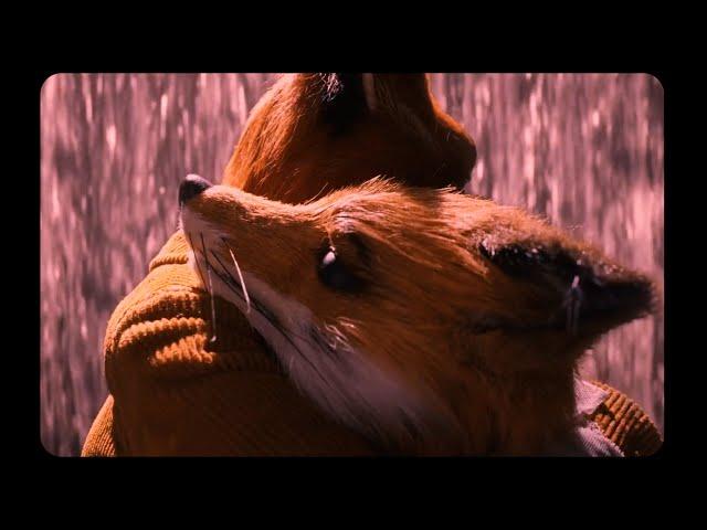 【﻿ＭＲ．ＦＯＸ】