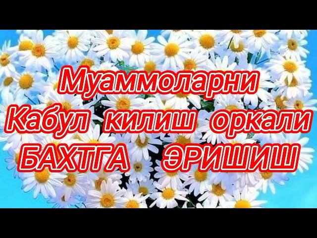 Муаммолардан кутулишнинг осон йули