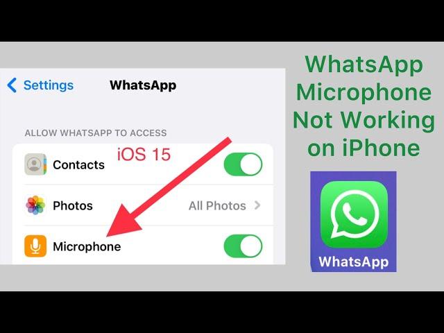 How to Fix Whatsapp Microphone Not Working on iPhone and iPad