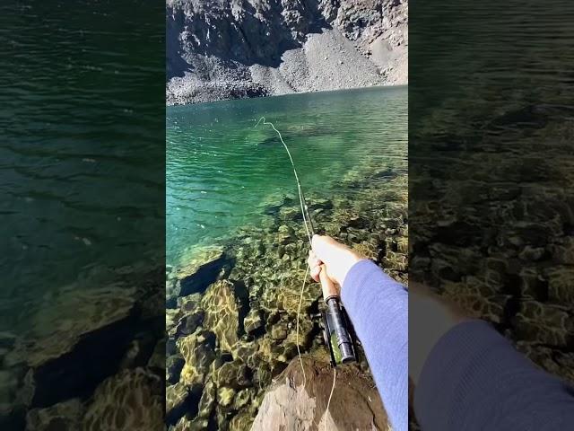 Fly fishing at 12,000 ft in an alpine lake