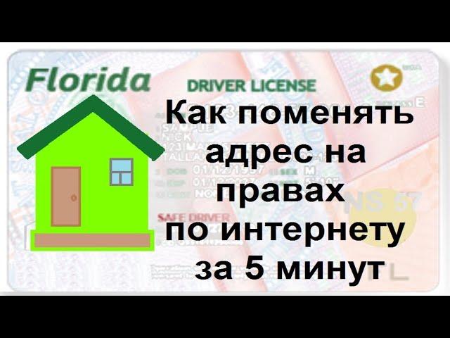 Права в США. Как изменить адрес на водительском удостоверении онлайн. Флорида DMV.