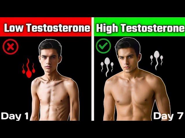 সেক্স হরমান বাড়ানোর উপায় কি ? How to boost Testosterone