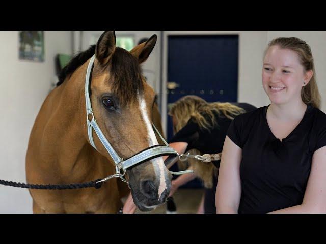 Unendliche Pferdeliebe - 30 jähre Ponystute beim Pferdecheck