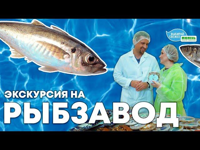 Как устроено рыбное производство? Экскурсия на завод «ЭРА МОРЯ» с Юлией Бутаковой