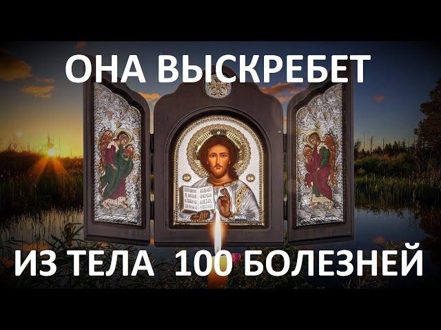 Если Бог добрый, почему мы так страдаем?. Она выскребет из тела 100 недугов.