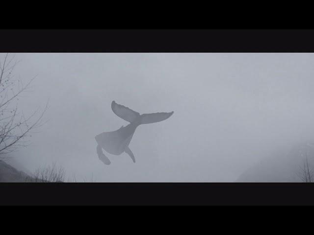 $uicideboy$ – Fold//Перевод//rus subs