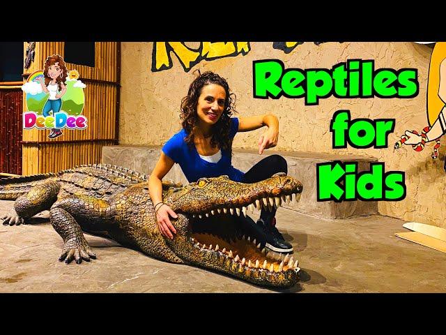 Reptiles for Kids | Educational Videos