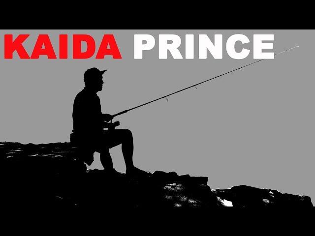 Спиннинг KAIDA. KAIDA PRINCE.