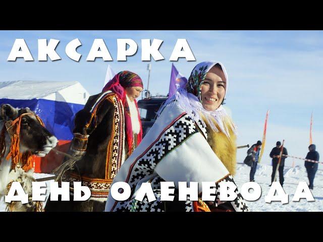 ДЕНЬ ОЛЕНЕВОДА - 2022 В АКСАРКЕ | СПЕЦВЫПУСК | ЯМАЛЬСКИЙ КОЛОРИТ | NORDFEST