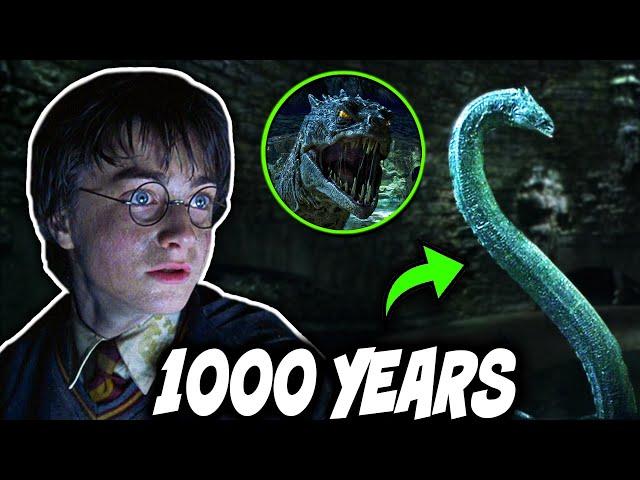 How Did Slytherin's Basilisk SURVIVE in the Chamber of Secrets for 1000 Years? - Harry Potter Theory