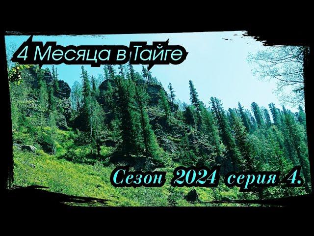 4 Месяца в Тайге. Заход на Избу, р. Тэба. Сезон 2024 серия 4.