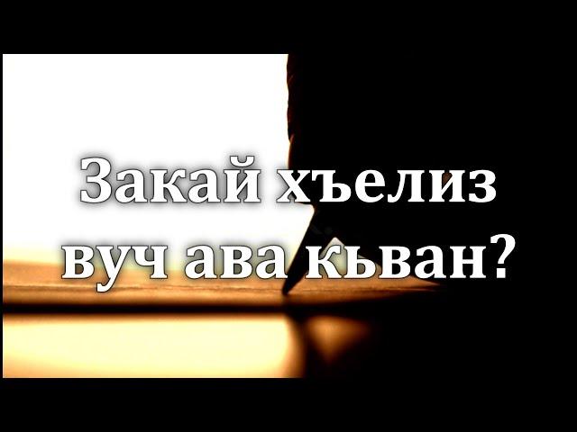 Закай хъелиз вуч ава кьван? Седакъет Керимова. 2023