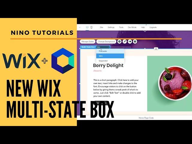 Wix Multi State Box - Nino Web Tutorials - Wix Tutorial