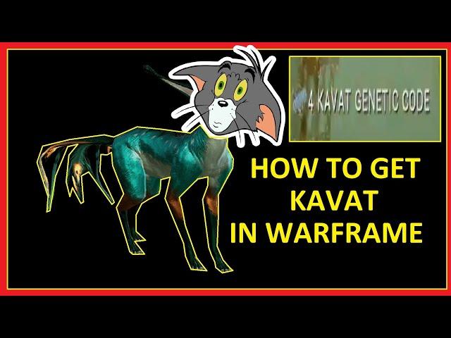 How to get a Kavat in Warframe (4x Kavat imprint from 1 scan)