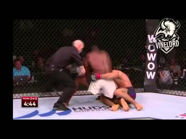 MMA VINES #32 / by Vinelord