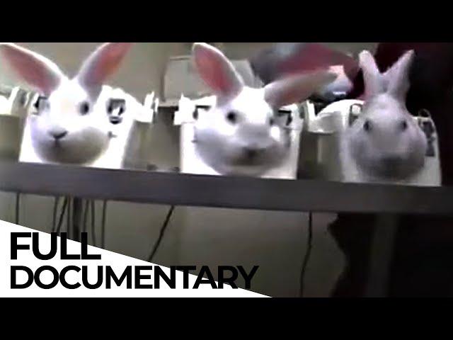 Bye Bye Guinea Pig? The Battle to STOP Animal Testing | Animal Rights | ENDEVR Documentary