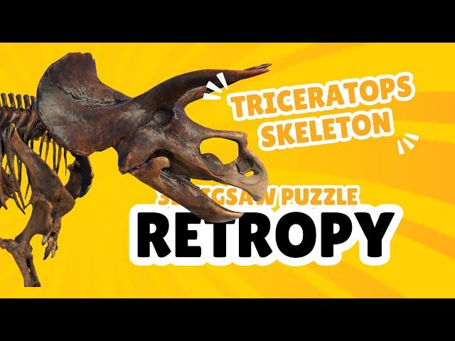 Retropy Game Play: 3D Puzzle Fun on Meta Quest & Steam - Triceratops Skeleton (2.5x Speed)