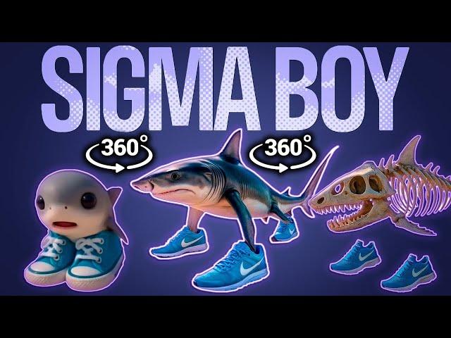 360° SIGMA BOY x EVOLUTION OF BRAINROT