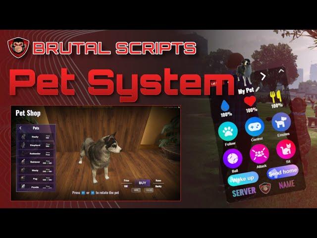 FiveM Pet System + K9 [ESX & QBCore/QBOX] | Brutal Scripts