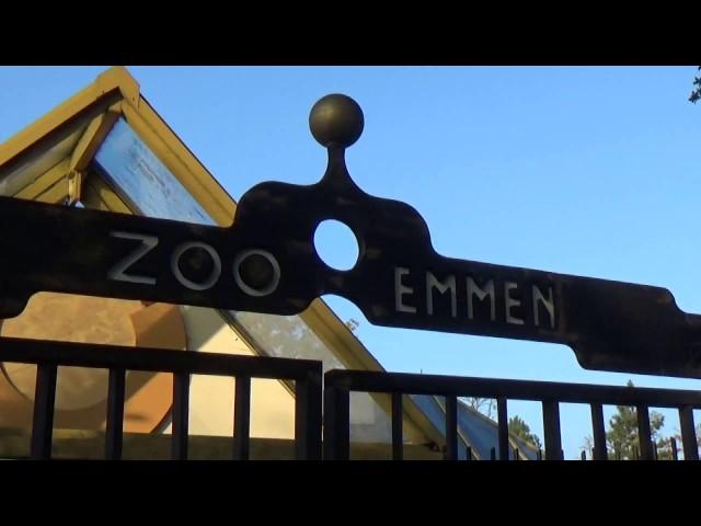 Dierenpark Emmen, afscheid