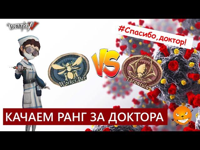 Identity V - Пчелки против Тарантулов. Битва Века! Или качаем ранг за доктора