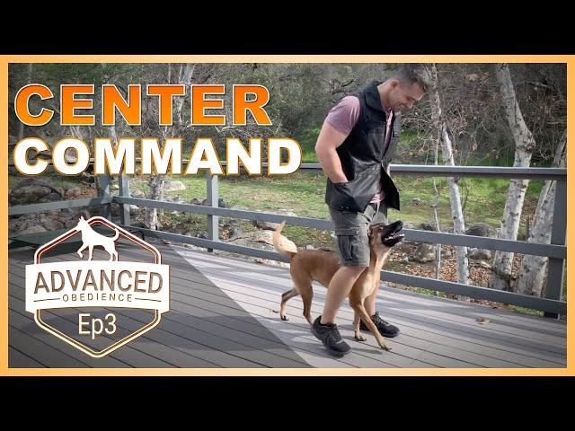 How to Teach Your Dog the Center Command!