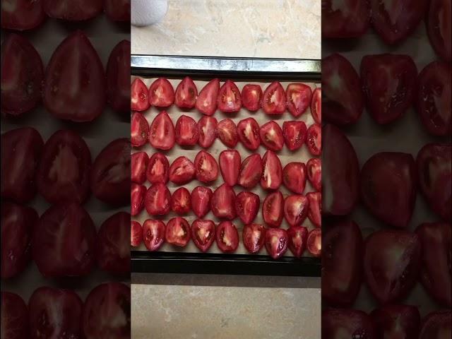 Вяленые томаты  #вяленыетоматы #помидоры #закрутки #закуски #рецепты #готовка #ставрополье