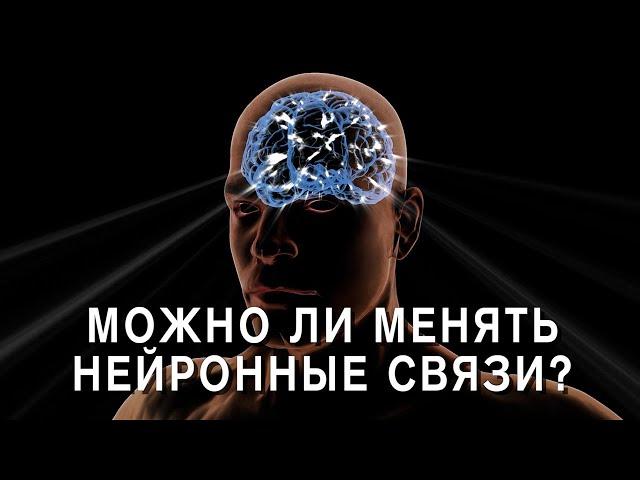 Можно ли изменить нейронные связи?