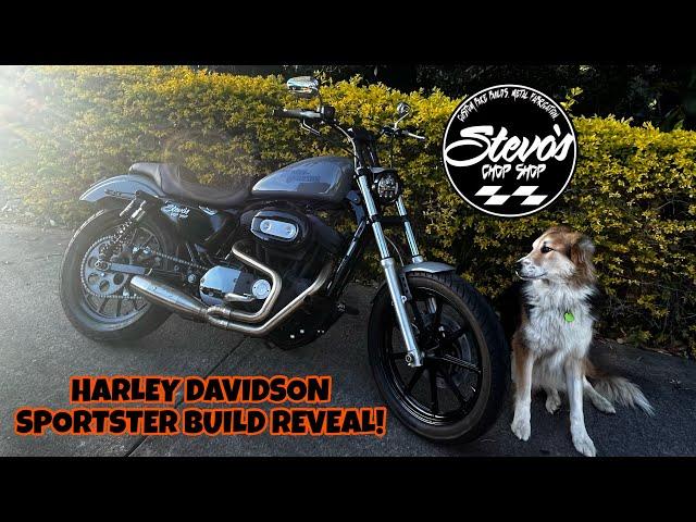 @stevos.chop.shop Harley Davidson club style Sportster 883 build walk around.