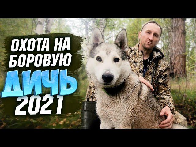 Открытие охоты 2021.Перепутал патрон.Жизнь в тайге.Глухариный оливье.