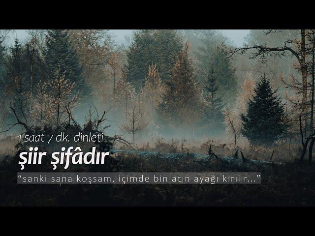 şiir şifâdır | en sevilenler (1 saat dinleti)