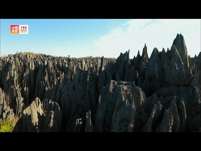 Tsingy de Bemaraha Strict Nature Reserve (Madagascar) / TBS