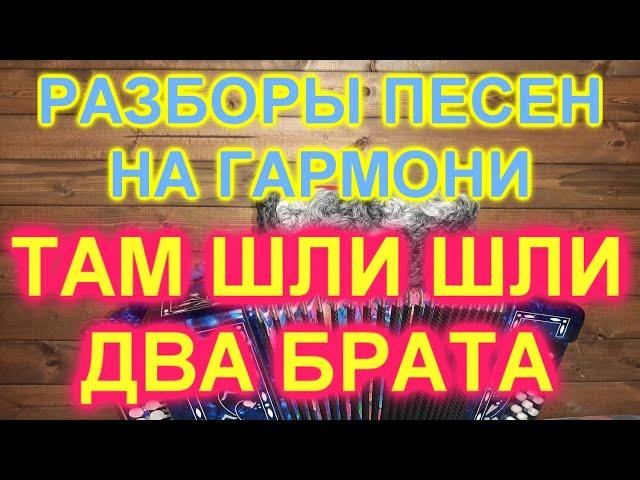 Разборы под гармонь! Там шли шли два брата!