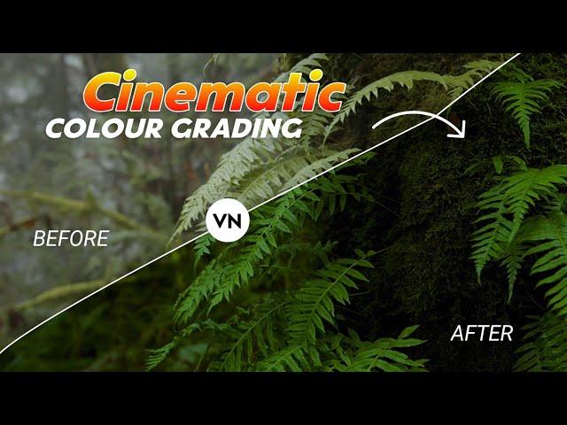 Vn Colour Grading Tutorial | Cinematic Colour Grading In Android | Vn App Editing