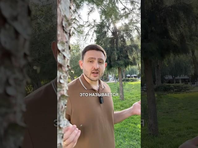 Страшные мысли о потере контроля #тревога #навязчивыемысли