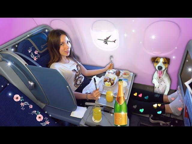 СТАРЫЙ Самолет БИЗНЕС КЛАСС в Air Europe Обзор Мадрид Канары | Elli Di
