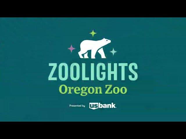 Experience The Magic Of ZooLights