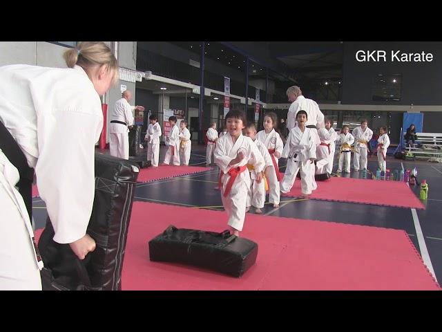 GKR Karate: Junior and Teen Circuit Training: Advanced Kicking