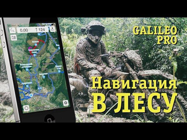 Как не заблудиться в лесу. Galileo Pro