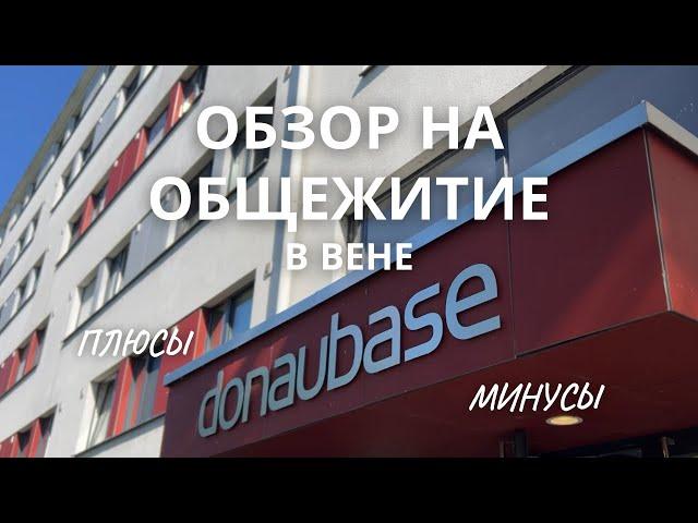 ViennaBase Donau: самый полный обзор, плюсы и минусы | Жизнь и Обучение в Австрии