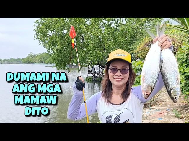 Dumami na ang mga Mamaw sa spot nato sa Coloong