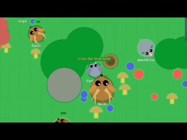 MOPE.IO САМЫЙ МАЛЕНЬКИЙ СЛОН | ЛУЧШИЙ ТРОЛЛИНГ