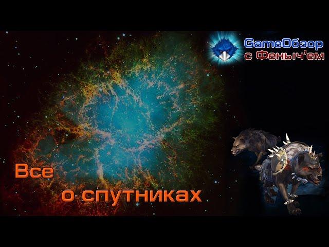 [Neverwinter]-[Гайд]Все о спутниках !