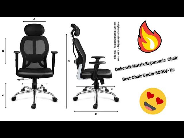 Oakcraft Matrix Ergonomic with Height Adjustable Handrest and Locking Mechanism Mesh Office Chair