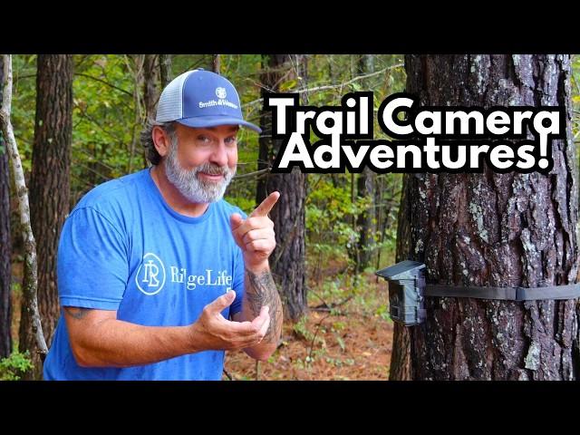 Trail Camera Adventures on The Ridge! | Bobcat, Bucks & More! | Campark TC02 | Andeman EPower-B05