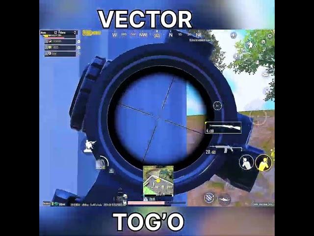 VECTOR TOG’O #tdm #pubg #shots #pubgmobile #dsa #shortsfeed #trend #rek #m24