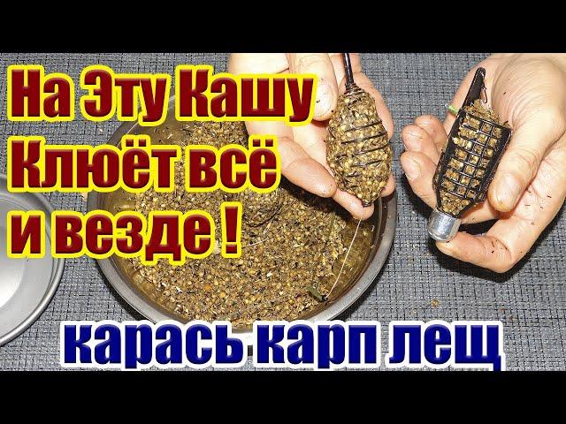 Клюет все и везде! Правильная Каша на Карася Карп Лещ Рыболовная насадка для карася