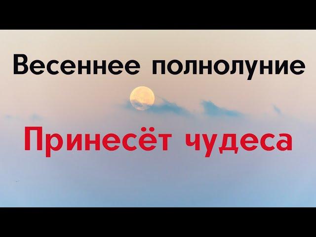 Весеннее полнолуние - принесёт чудеса | Тайна Жрицы