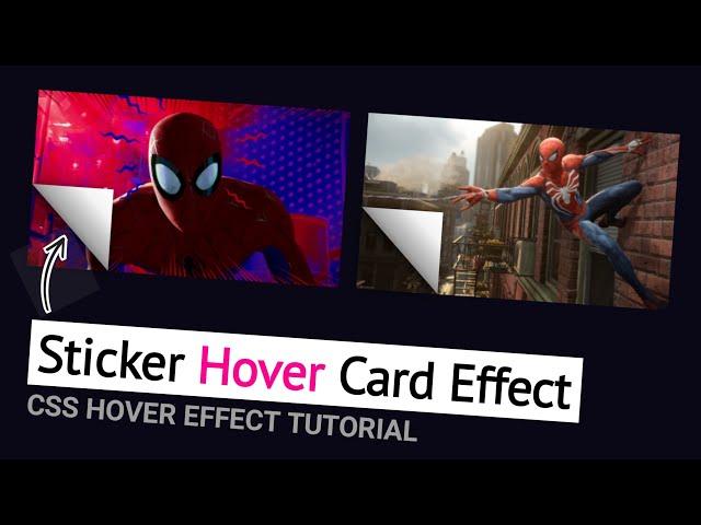 Sticker Type Hover Effect Tutorial | Hover Animation | Html & CSS | WebKitCoding