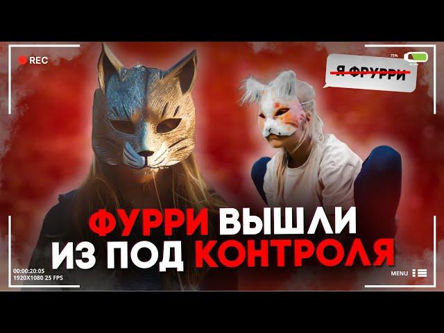 Дети Фурри Кусают Людей и Едят Кошачий Корм | Фурри, Квадробика